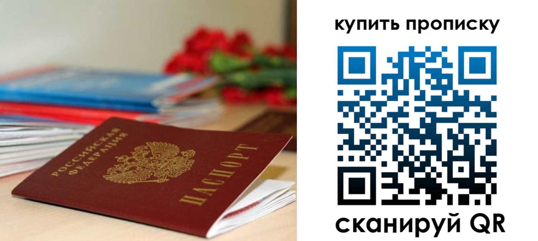 прописка в Тимашёвске